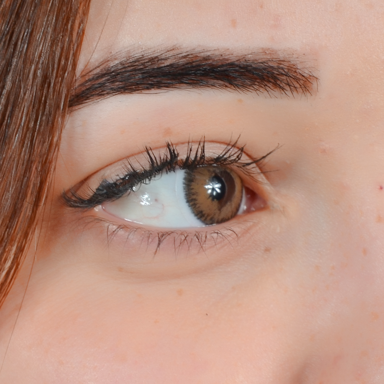 Lentilles Spice avec contour