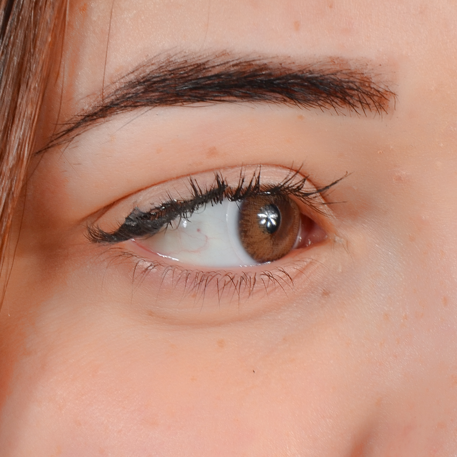 Lentilles Spice avec contour