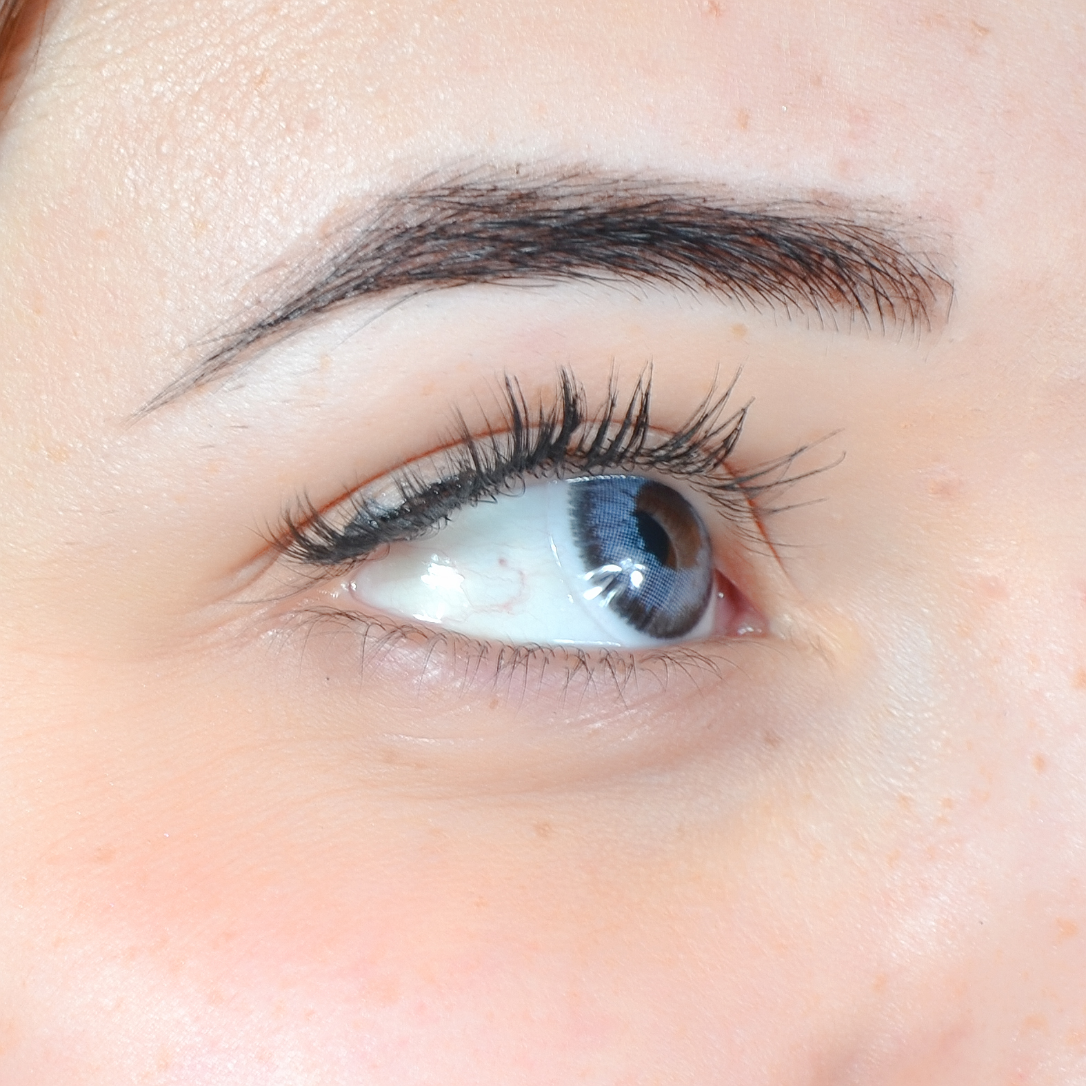 Lentilles Perla avec contour