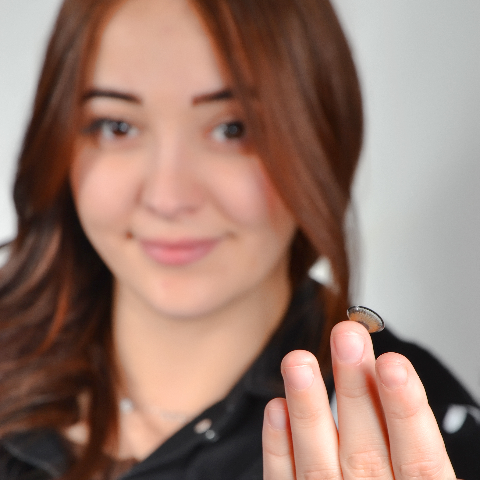 Lentilles Spice avec contour